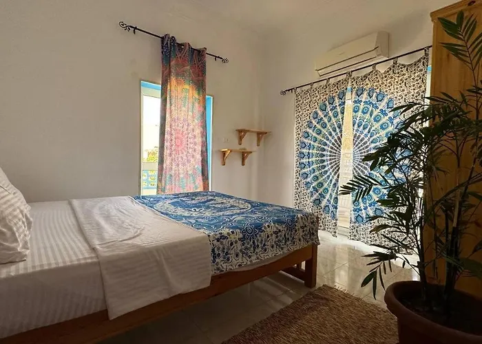 Palma Dahab
