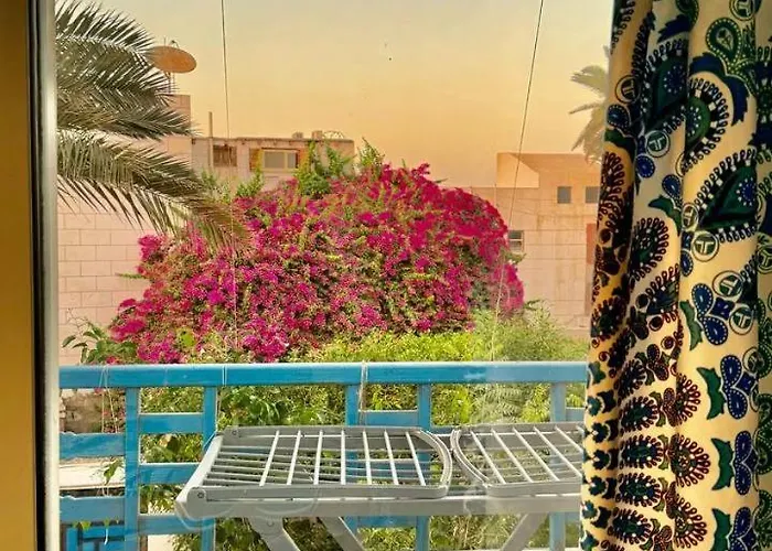 Palma *